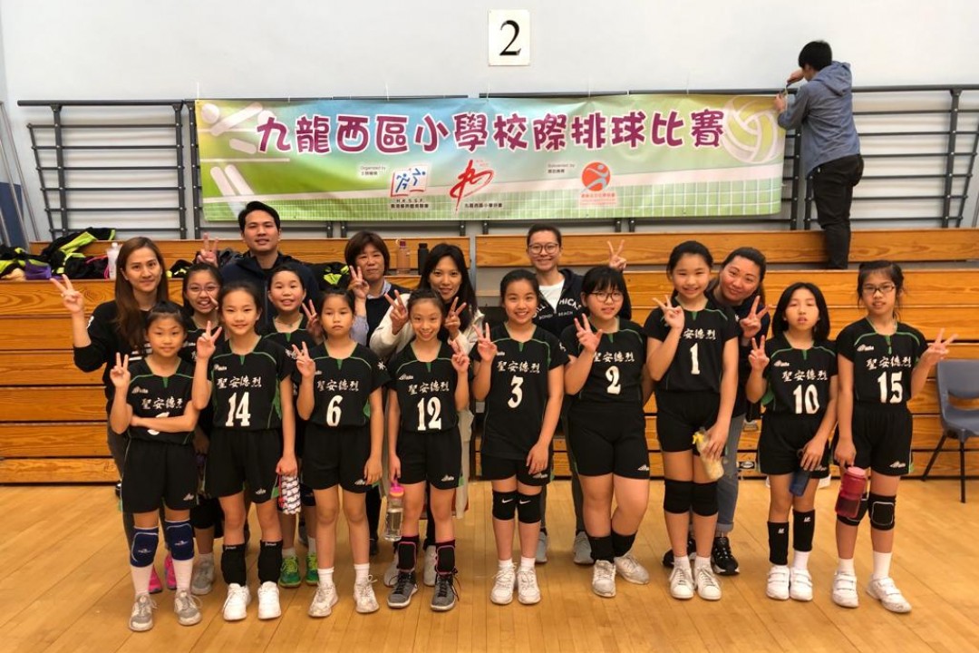 男、女子排球隊