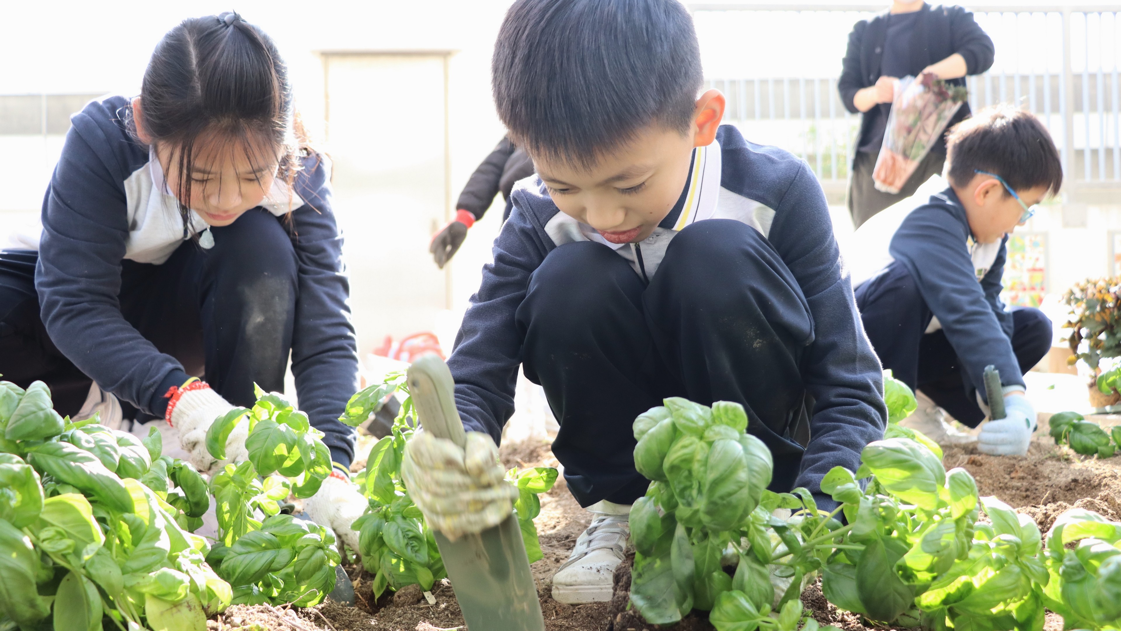 2025年1月10日 盆栽種植活動